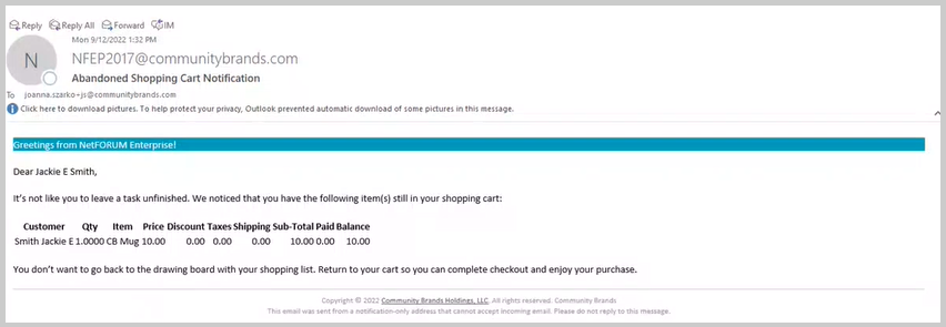 Abandoned_Shopping_Cart_Notification_mail.png